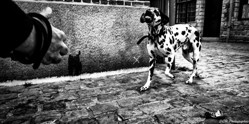 VLR_LIL21_L1003224-Modifier