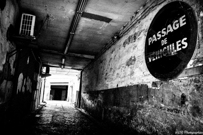 VLR-GXR_R0010943-Modifier